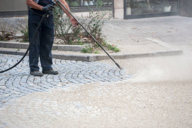Best Animal Enclosure Cleaning  in Williamsburg, VA