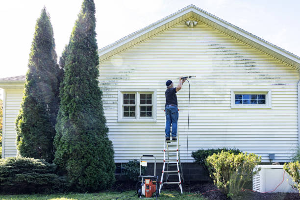  Williamsburg, VA Pressure Washing Pros